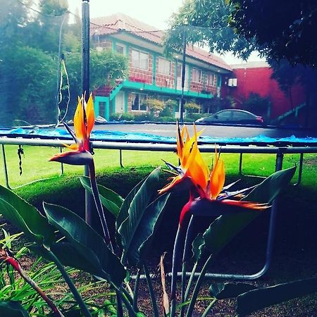Hotel Las Fumarolas De Don Goyo Cholula de Rivadavia Exterior foto